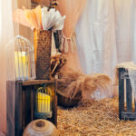 cbobox instagrammable boheme belgique-16